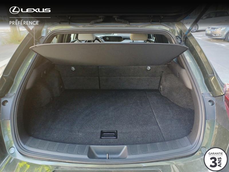 LEXUS UX 250h 2WD Luxe MY20 - 10