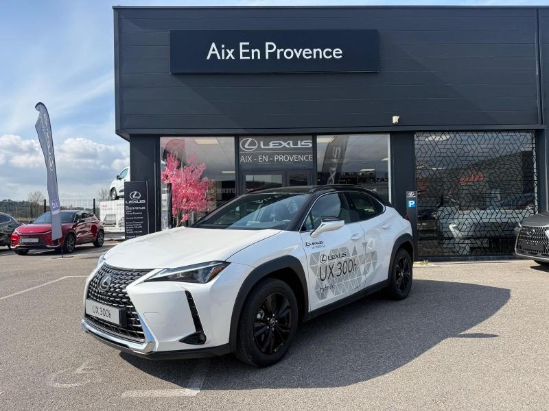 LEXUS UX 4500km