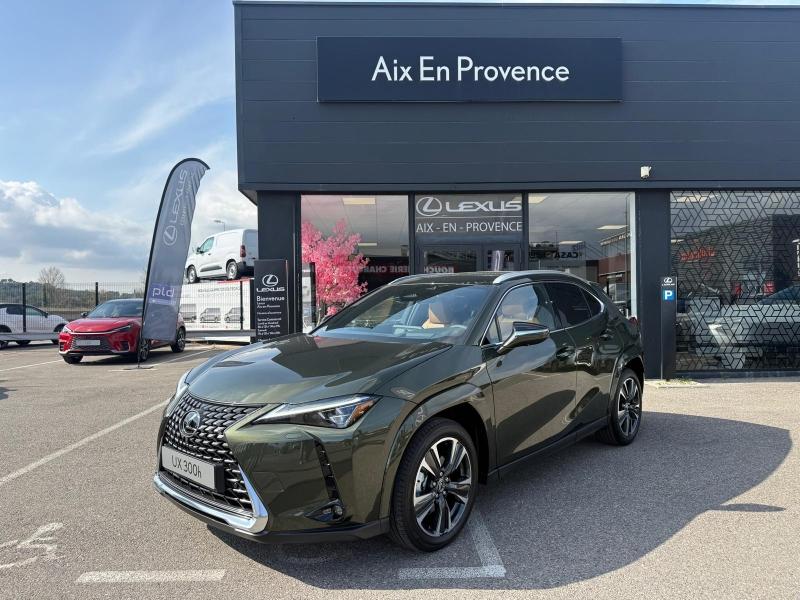 LEXUS UX 8500km