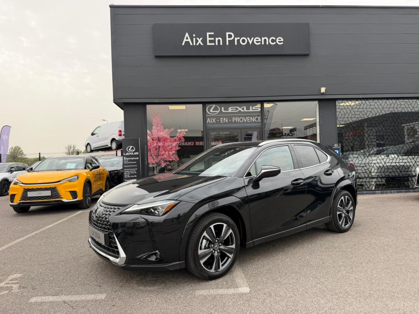 LEXUS UX 8000km